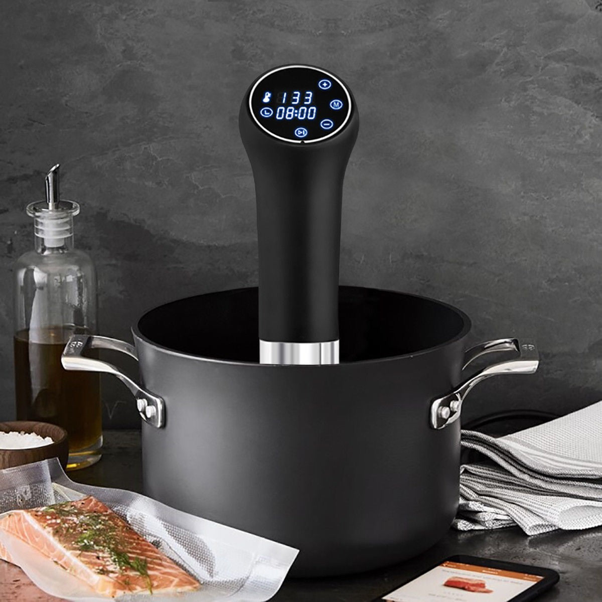 800W LED Display Thermal Immersion Sous Vide Precision Cooker – SousBear